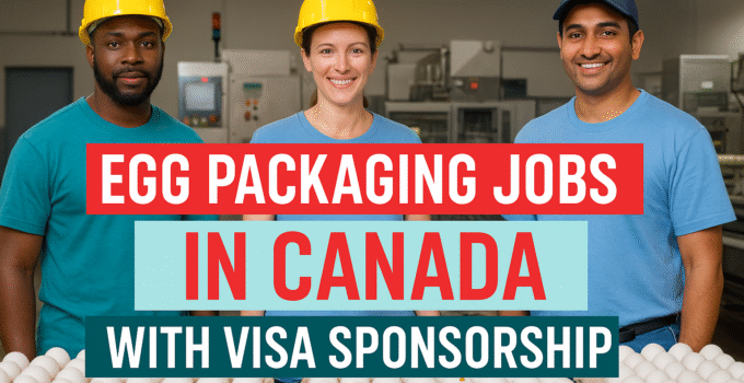 Egg Packaging Jobs in Canada with Visa Sponsorship – Apply Now